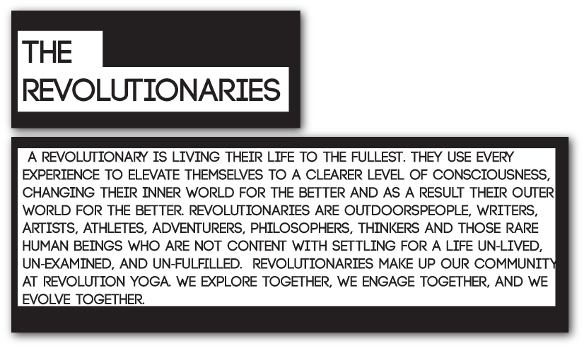 what is a revolutionary?